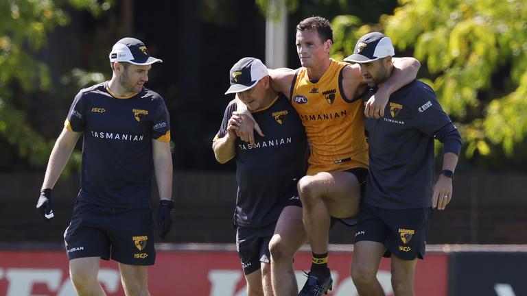 How will Hawthorn’s preseason injuries affect its 2024 performance?
