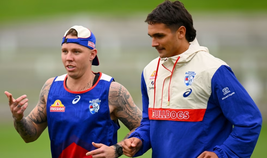 Western Bulldogs injury blow  preview.