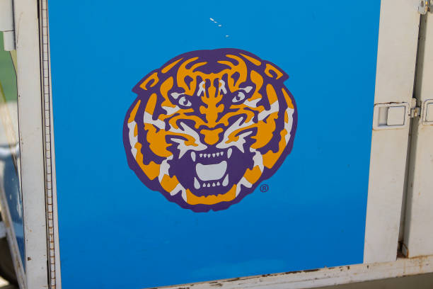 Breaking News: LSU has land a 31-year-old skilled offensive lineman…