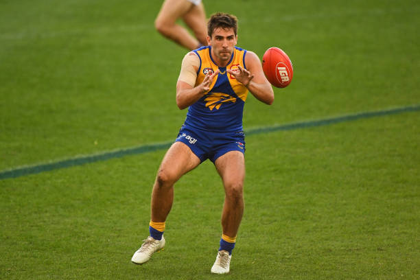 Tigers suffer a devastating injury setback just before their match against the determined Eagles.