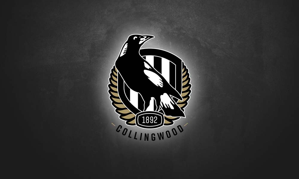 “Five Potential Replacements Collingwood Eyes for Nathan Murphy’s Position”