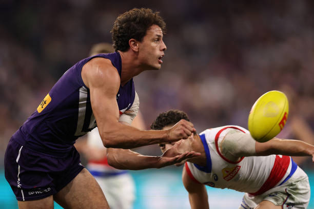 Heath Chapman assumes a crucial position in the injury-plagued defensive lineup of the Fremantle Dockers upon his return to the AFL.