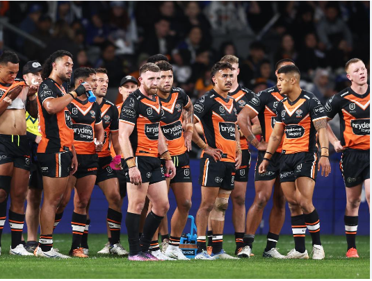 “Tigers confirm signing of another Panther for 2024: He is electrifying,”