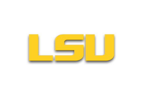 “LSU Head Coach Unveils Reasons Behind LSU’s Seasonal Setback”