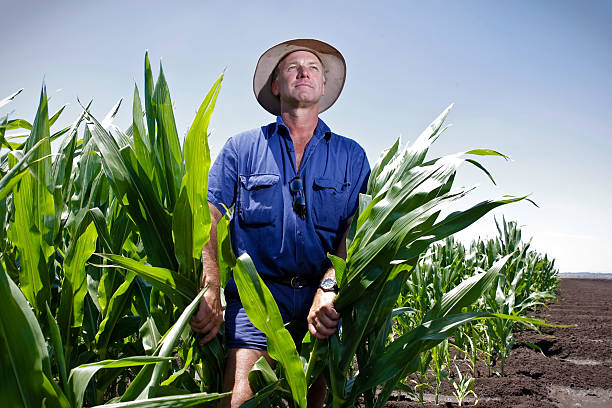Tamworth Thrives: Business Booms as Tigers Wrap Up Bush Deal