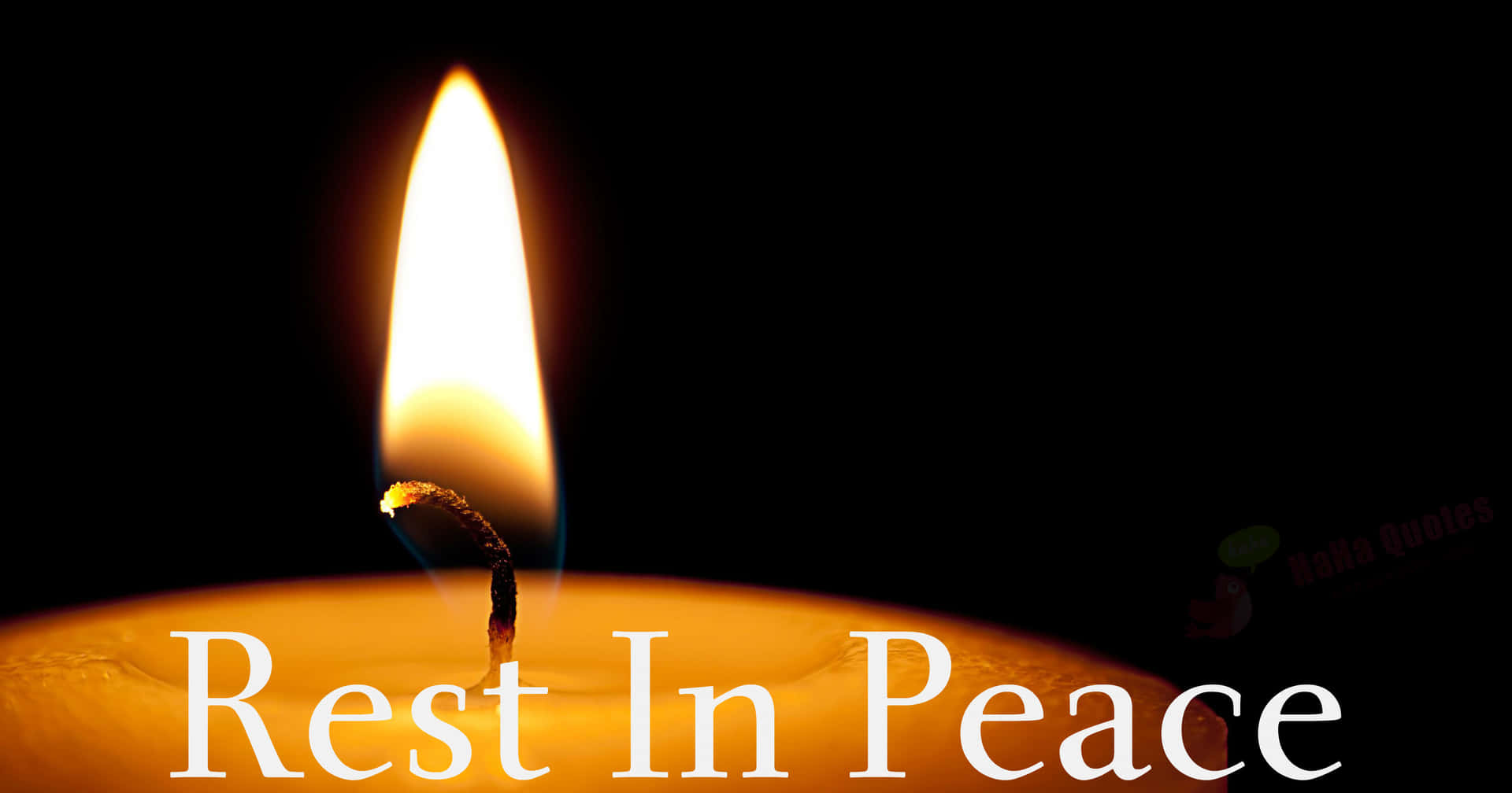 Los Angeles Lakers Mourn Sudden Passing of 33-Year-Old Star Player; Cause of Death…
