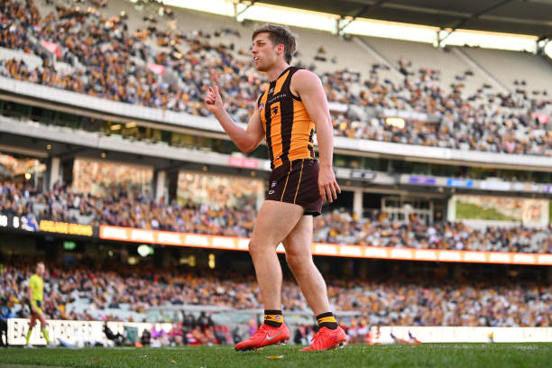 From Near Retirement to All-Australian Contention: The Remarkable Resurgence of This Hawk’s Career