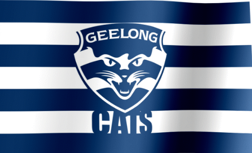 Breaking news: 34 years Geelong key star is band  Overturned After AFL Tribunal Review