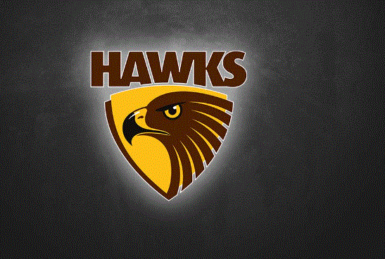 Hawk’s Swift Ascent from Last-Minute Trade to All-American Contender
