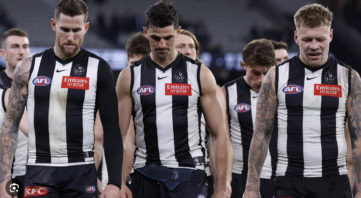 Collingwood Player Involved in Fatal Crash on Brand Highway.