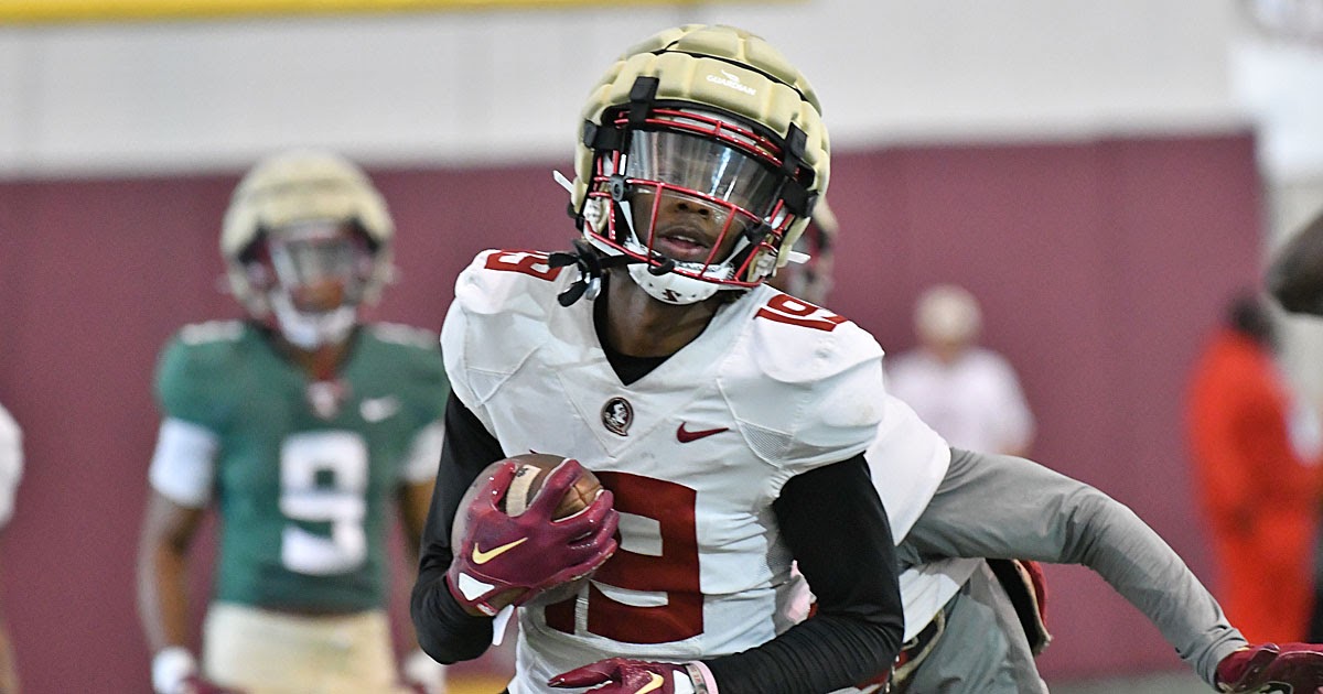 “Heartbreak for FSU: Promising Young Receiver Exits via Transfer Portal”