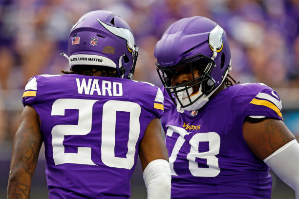 Jaquelin Roy #93 of the Minnesota Vikings