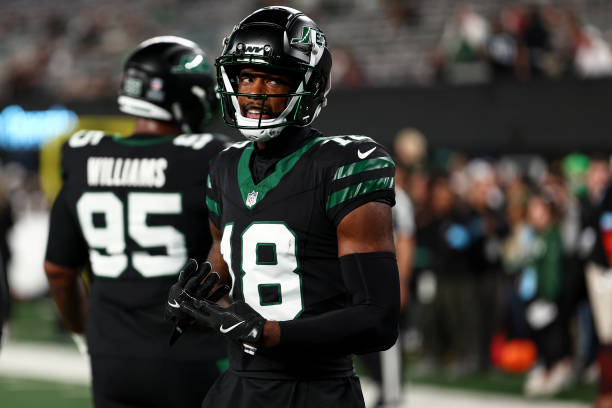 Mike Williams #18 of the New York Jets