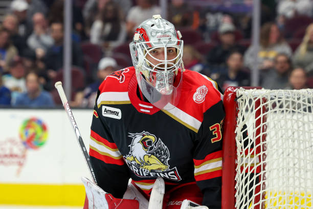 Red Wings Call Up Top Prospect Sebastian Cossa Amid Goaltending Injuries